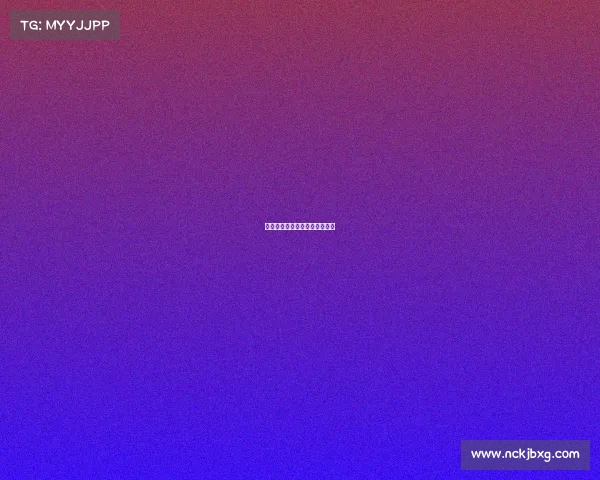 上海一六八网络有限公司怎么样